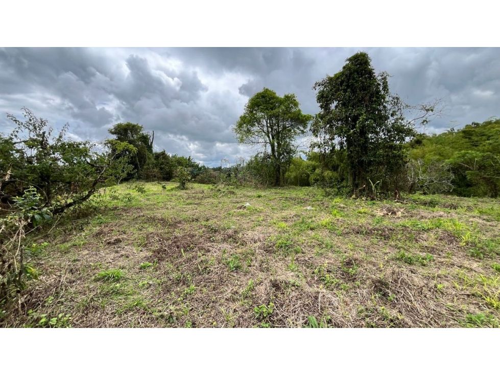 Lote en venta Valle Del Cauca Alcalá Alcala 9000 m2 Habitaciones 0 Baños 0 Garajes 0 Precio $490000000