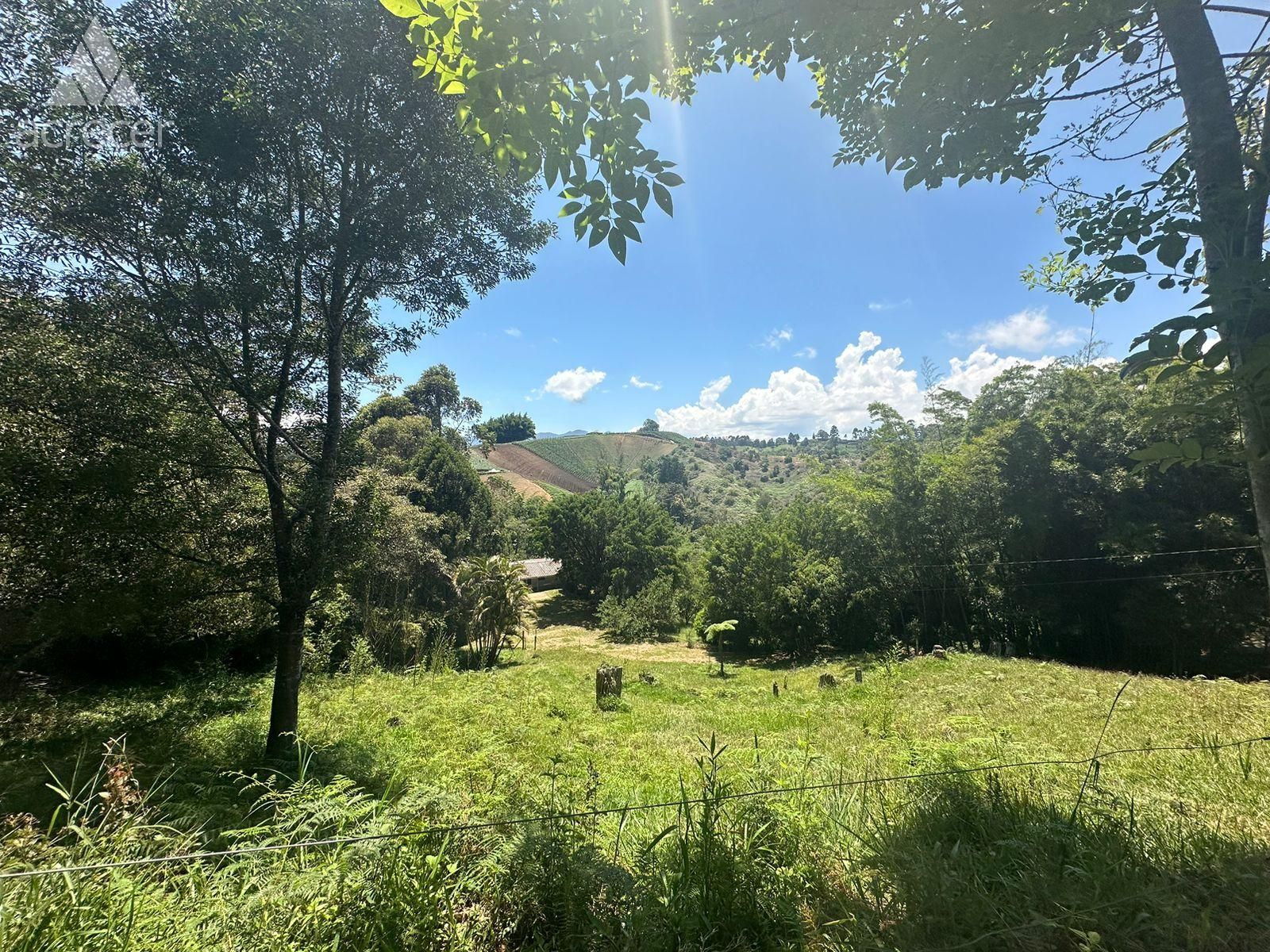 Lote en venta Antioquia Rionegro El Porvenir 17718 m2 Habitaciones 0 Baños 1 Garajes 0 Precio $1750000000