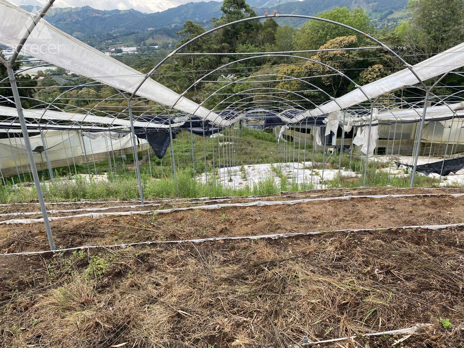 Lote en arriendo Antioquia La Ceja Centro 7400 m2 Habitaciones 0 Baños 0 Garajes 0 Precio $4000000