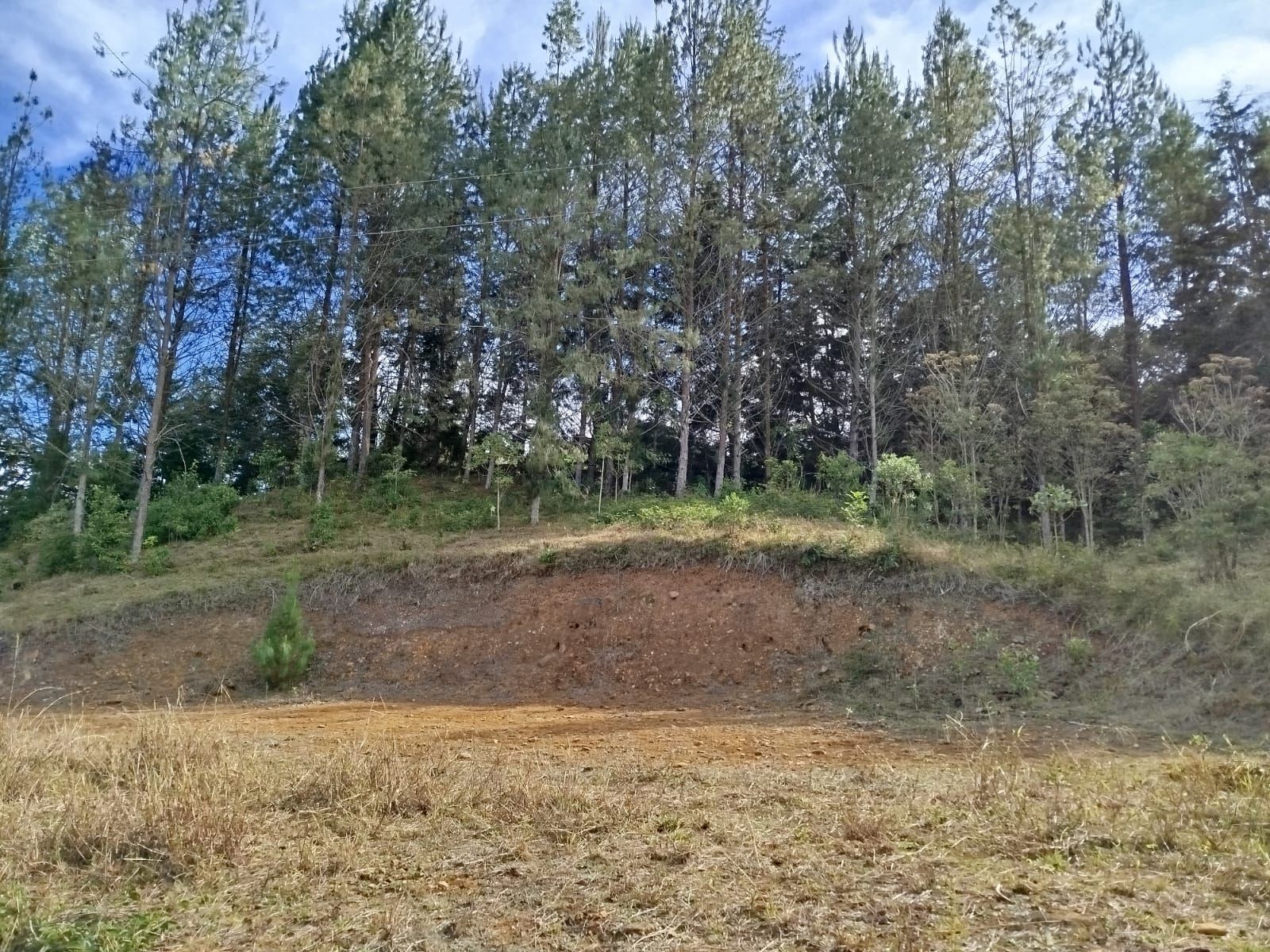 Lote en arriendo Antioquia Guarne Centro 10000 m2 Habitaciones 0 Baños 0 Garajes 0 Precio $4000000