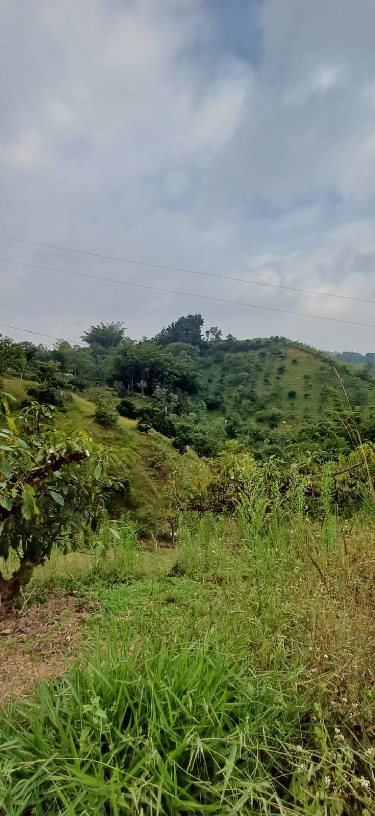 Finca en venta Antioquia Marinilla La Industrial 38000 m2 Habitaciones 2 Baños 3 Garajes 3 Precio $1800000000