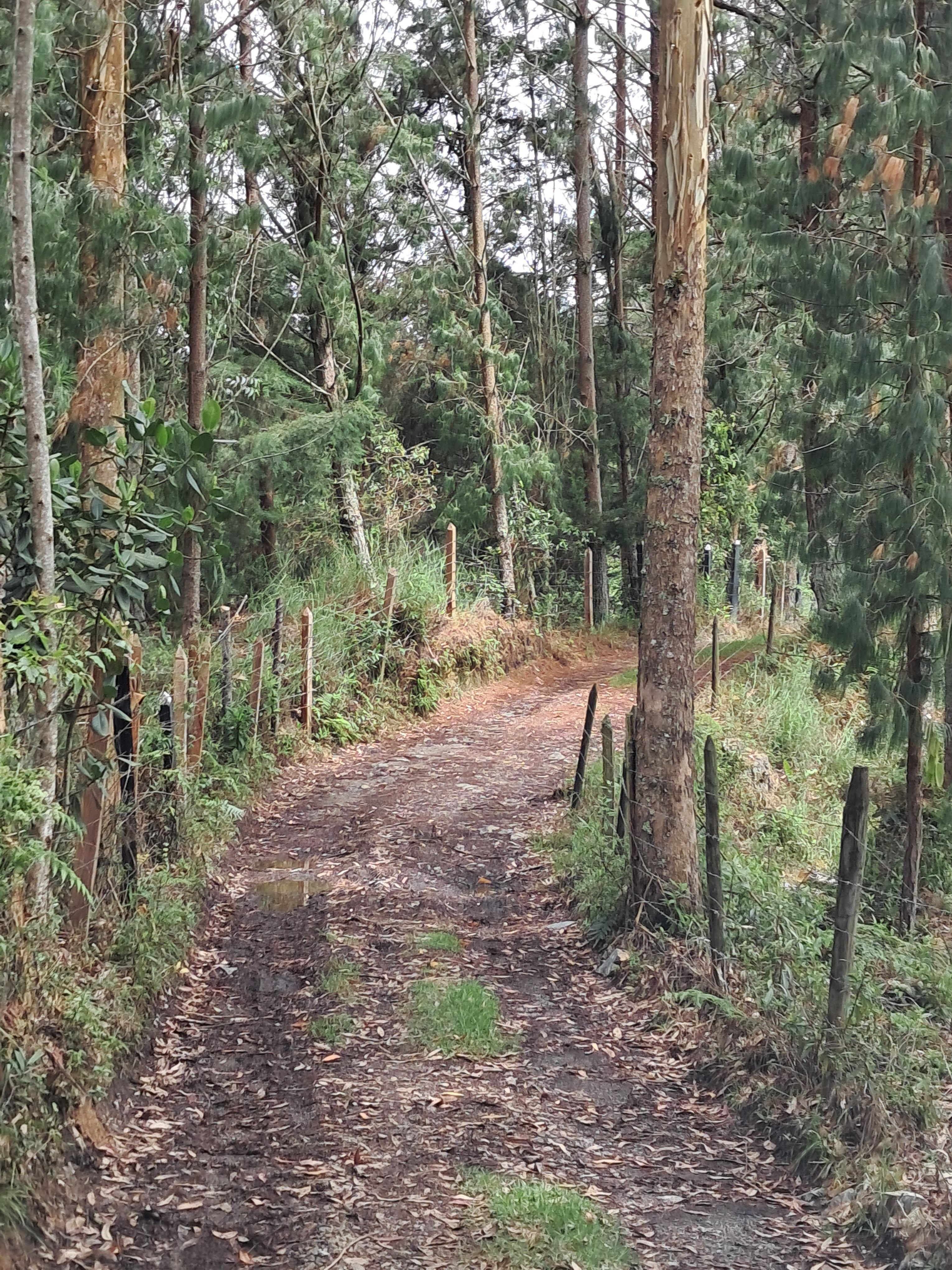 Lote Rural en venta Antioquia Guarne Punto Mayor 20 m2 Habitaciones 0 Baños 0 Garajes 0 Precio $190000000