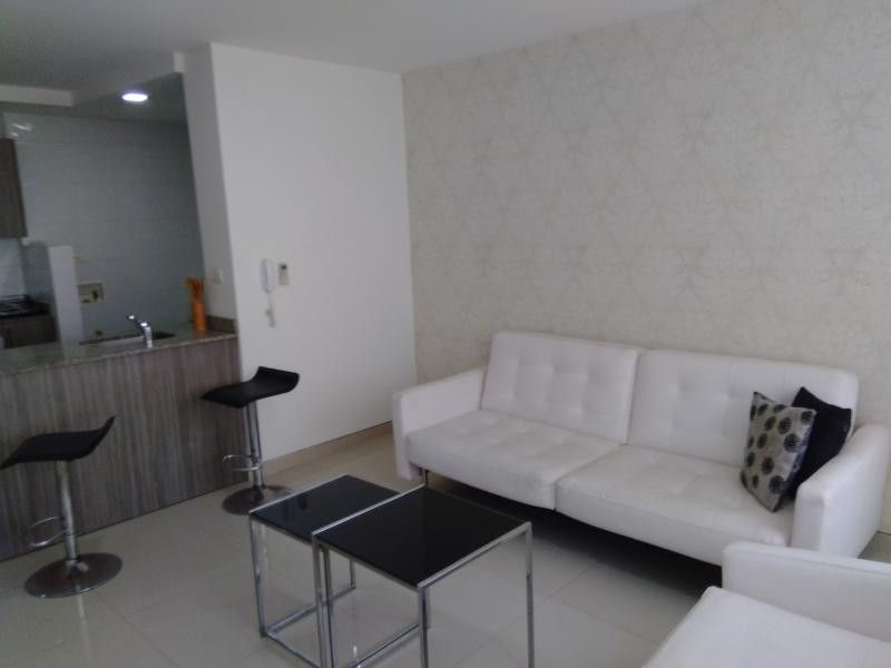 Apartamento en arriendo Atlántico Barranquilla San Vicente 51 m2 Habitaciones 1 Baños 2 Garajes 1 Precio $2500000