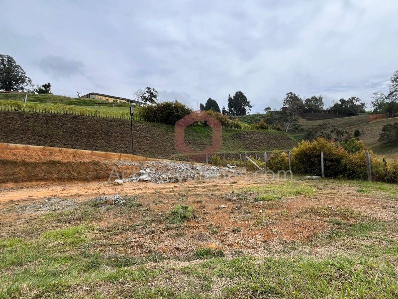 Lote en venta Antioquia Rionegro Centro 2128 m2 Habitaciones 0 Baños 0 Garajes 0 Precio $680000000