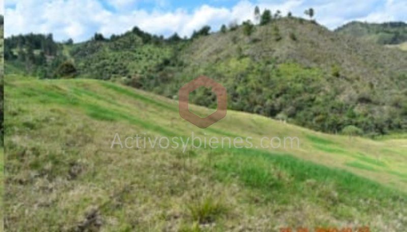 Lote en venta Antioquia El Retiro El Retiro 75526 m2 Habitaciones 0 Baños 0 Garajes 0 Precio $25000000000