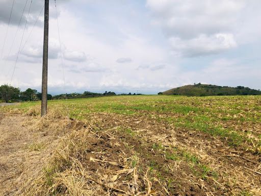 Lote en venta Risaralda Pereira Pereira 0 m2 Habitaciones 0 Baños 0 Garajes 0 Precio $4300000000