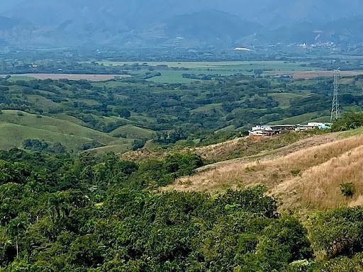 Lote en venta Risaralda Pereira Pereira 11025 m2 Habitaciones 0 Baños 0 Garajes 0 Precio $771750000