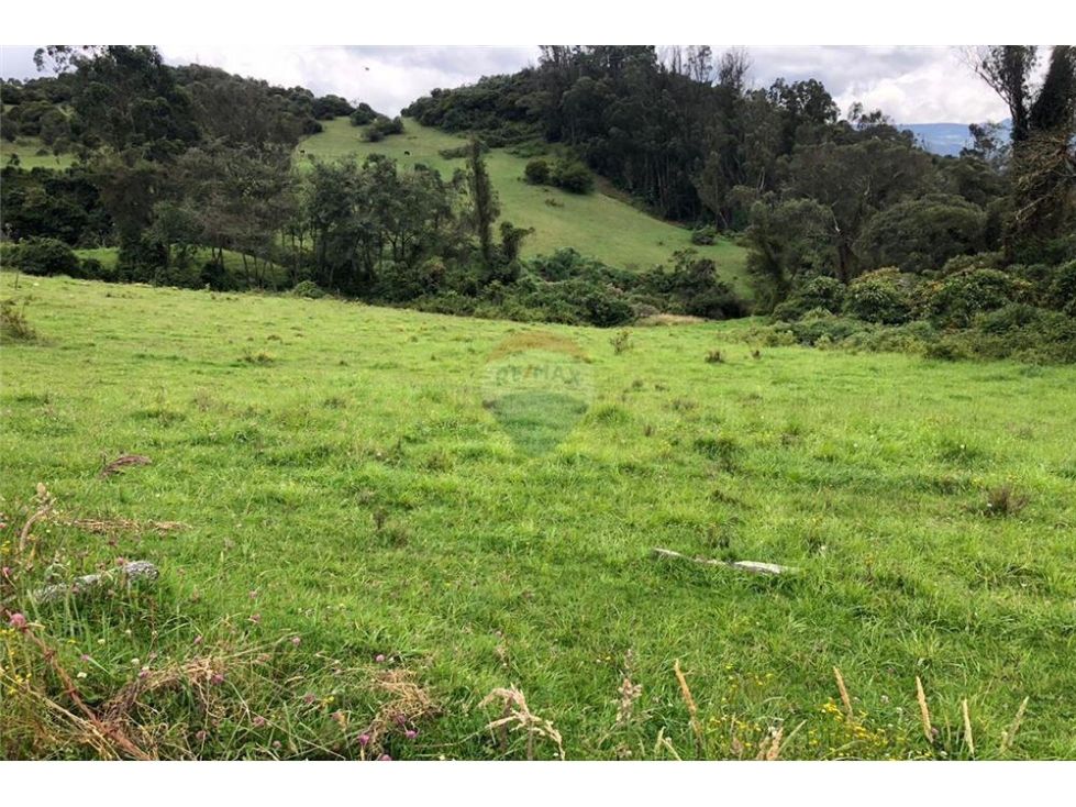Lote en venta Cundinamarca La Calera La Calera 52000 m2 Habitaciones 0 Baños 0 Garajes 0 Precio $1100000000