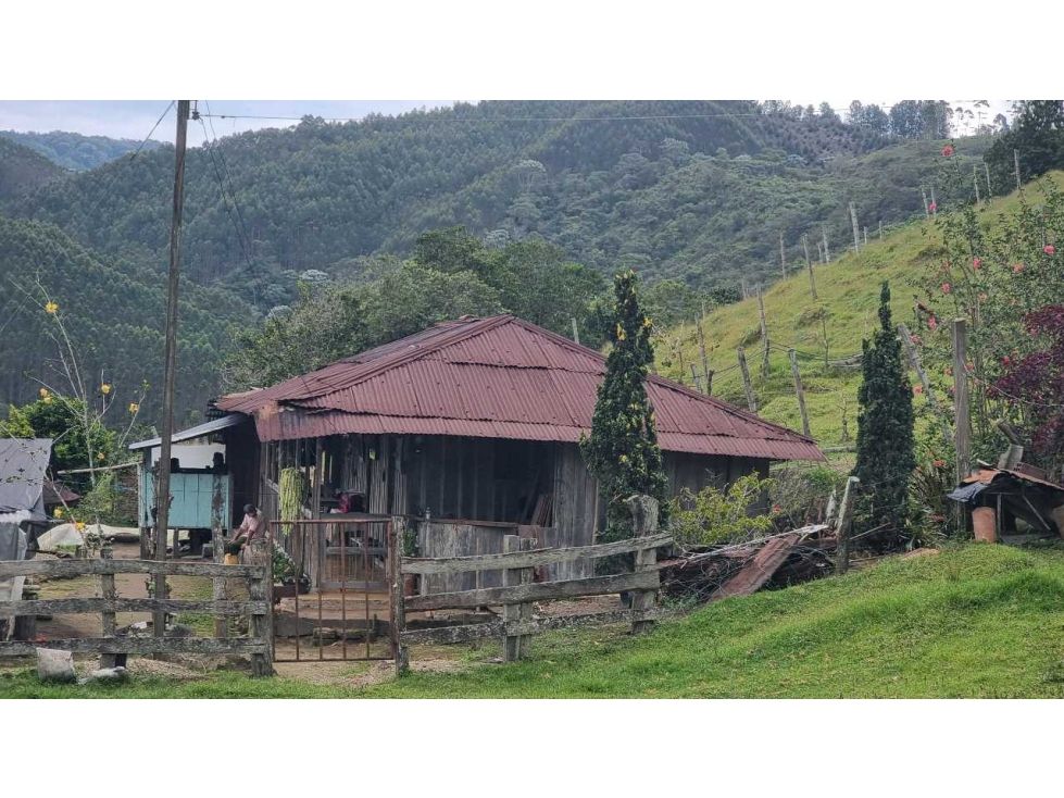 Finca en venta Quindío Salento Salento 100 m2 Habitaciones 3 Baños 1 Garajes 1 Precio $1000000000