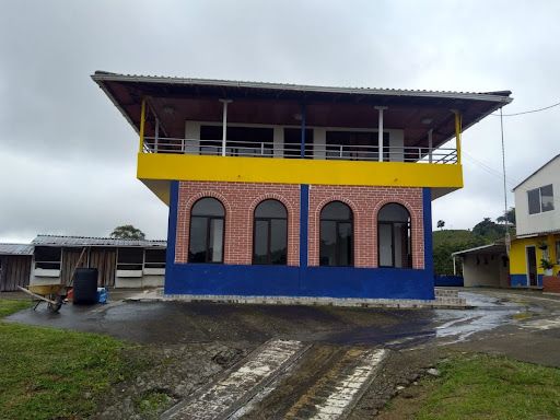 Finca en venta Risaralda Dosquebradas Campestre A 1200 m2 Habitaciones 7 Baños 3 Garajes 8 Precio $1200000000