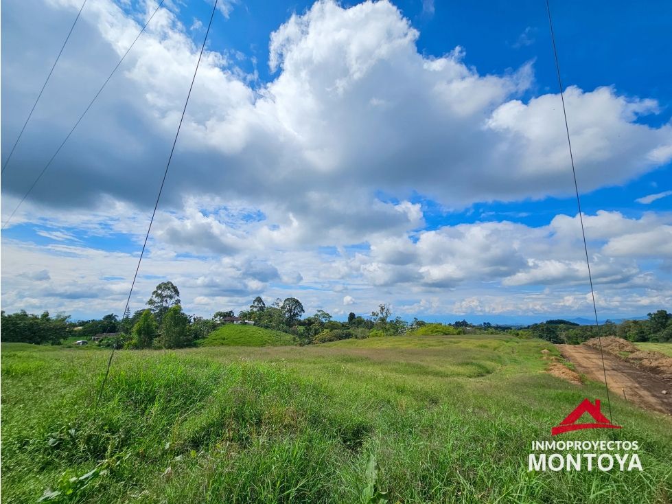 Lote en venta Quindío Filandia Filandia 1500 m2 Habitaciones 0 Baños 0 Garajes 0 Precio $480000000