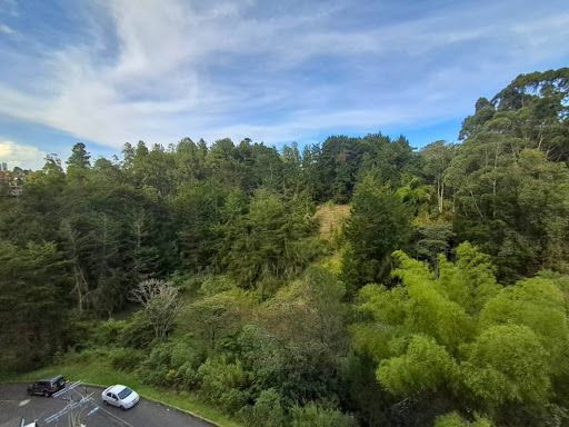 Apartamento en arriendo Antioquia Rionegro Santa Ana 50 m2 Habitaciones 2 Baños 2 Garajes 1 Precio $1400000