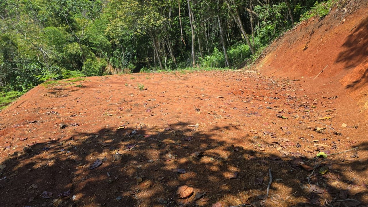 Lote en venta Valle Del Cauca Palmira Alfonso López 1000 m2 Habitaciones 0 Baños 0 Garajes 0 Precio $150000000