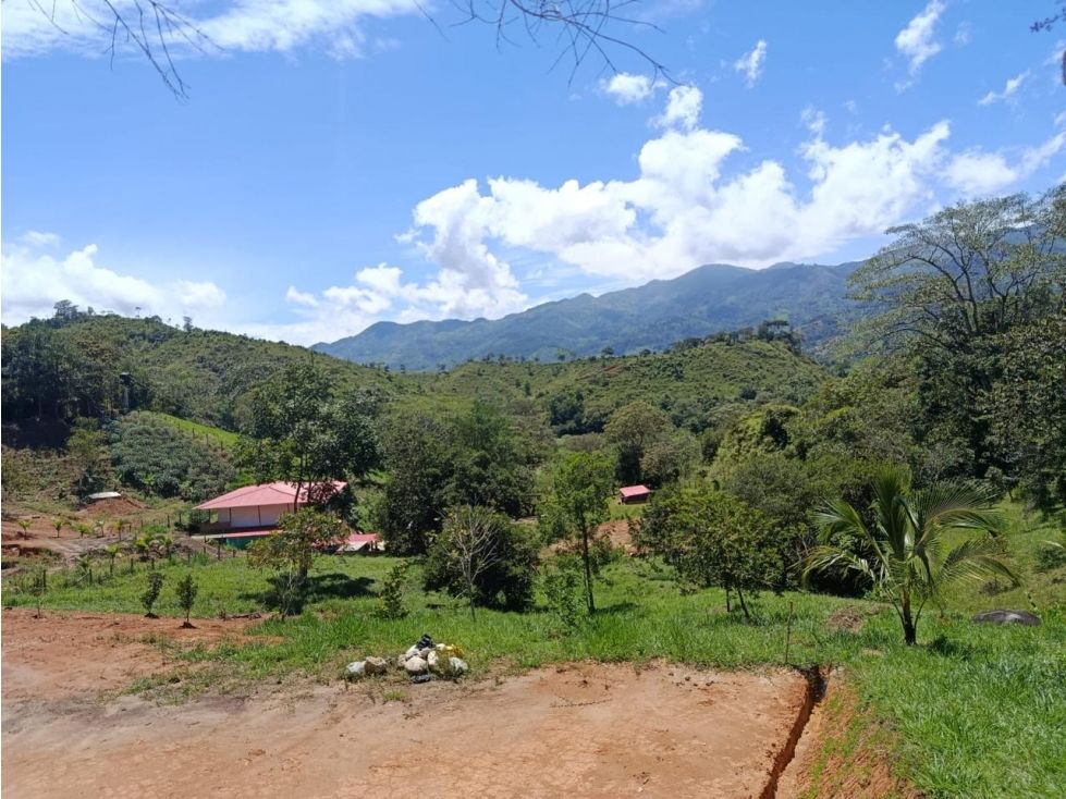 Lote en venta Antioquia Barbosa Barbosa 5010 m2 Habitaciones 0 Baños 0 Garajes 0 Precio $290000000