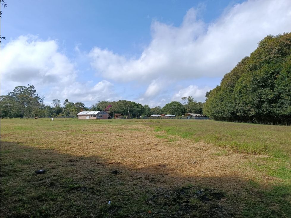 Lote en arriendo Antioquia Rionegro Rionegro 250 m2 Habitaciones 0 Baños 2 Garajes 10 Precio $10000000