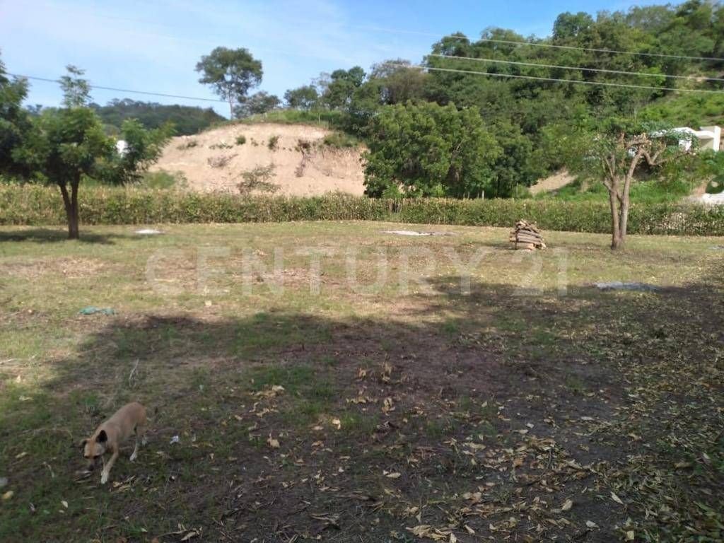 Lote en venta Cundinamarca Ricaurte Ricaurte 2204 m2 Habitaciones 0 Baños 1 Garajes 0 Precio $370000000