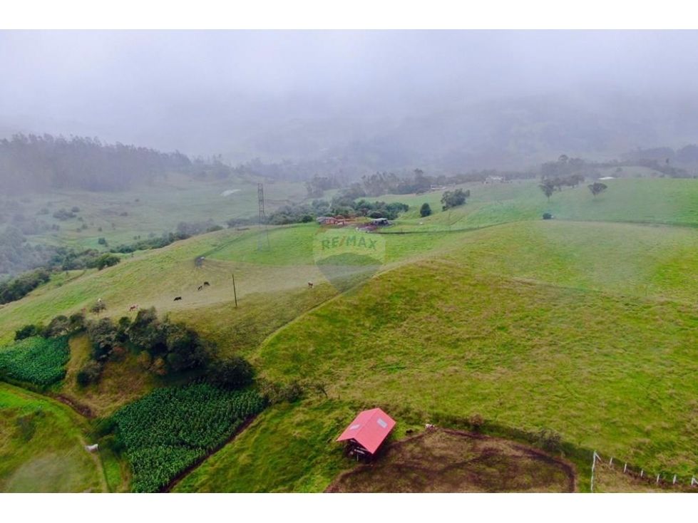 Finca en venta Cundinamarca La Calera La Calera 150000 m2 Habitaciones 0 Baños 0 Garajes 0 Precio $2500000000