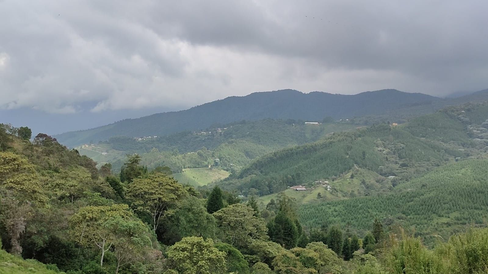 Lote en venta Antioquia Caldas Caldas 2600 m2 Habitaciones 0 Baños 0 Garajes 0 Precio $240000000