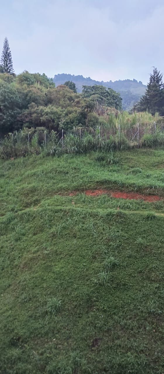 Apartamento en venta Antioquia Medellín San Antonio De Prado 58 m2 Habitaciones 3 Baños 2 Garajes 0 Precio $215000000