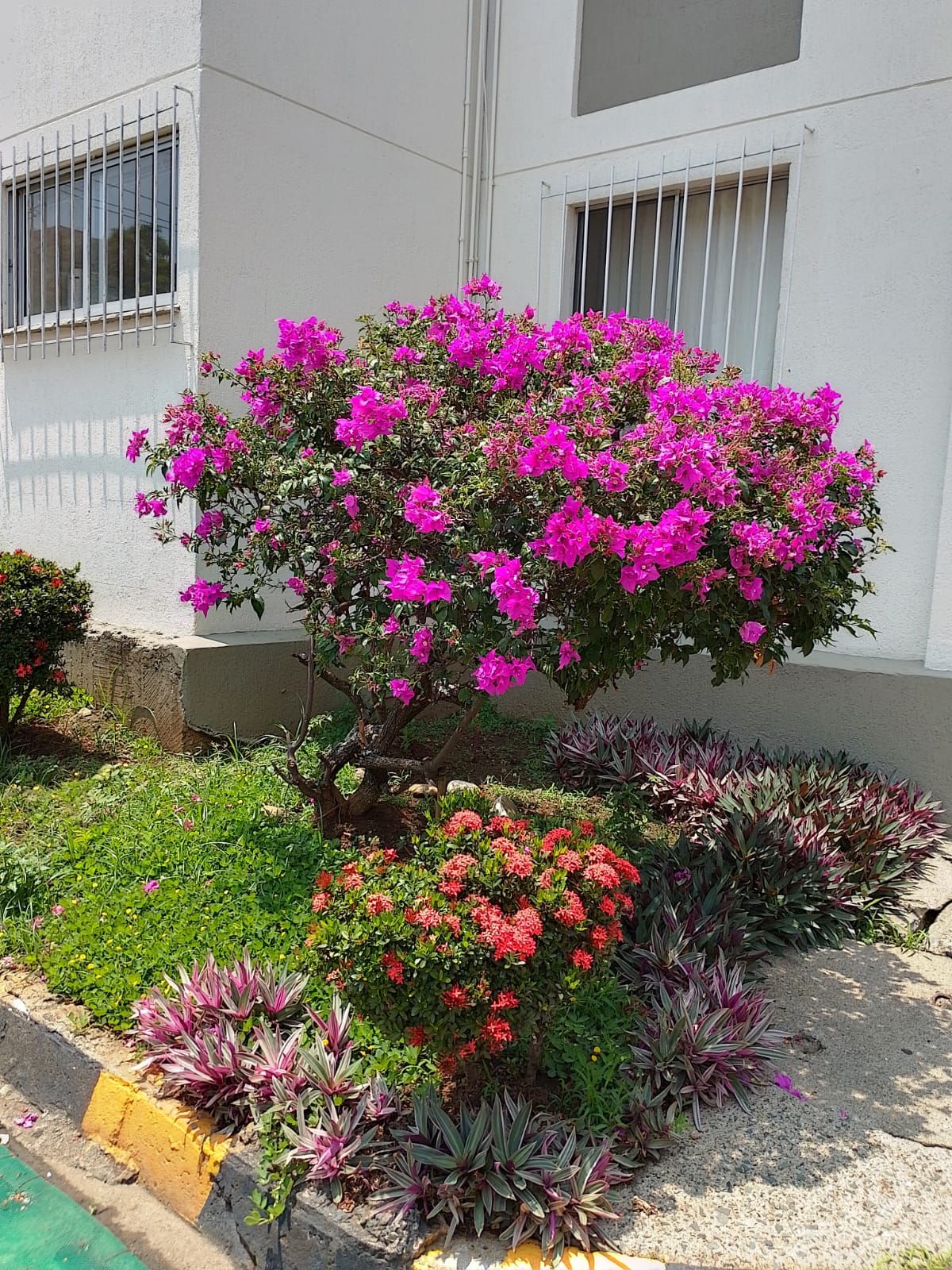 Apartamento en venta Valle Del Cauca Cali Cristóbal Colón 65 m2 Habitaciones 3 Baños 1 Garajes 0 Precio $230000000