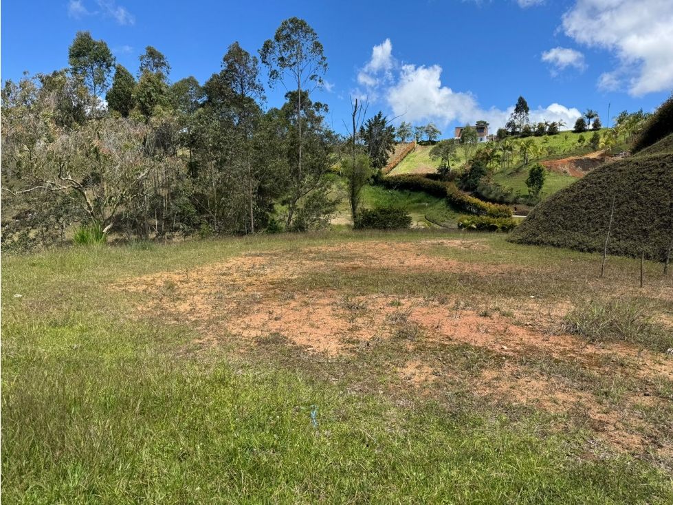 Lote en venta Antioquia Rionegro Rionegro 3300 m2 Habitaciones 0 Baños 0 Garajes 0 Precio $470000000