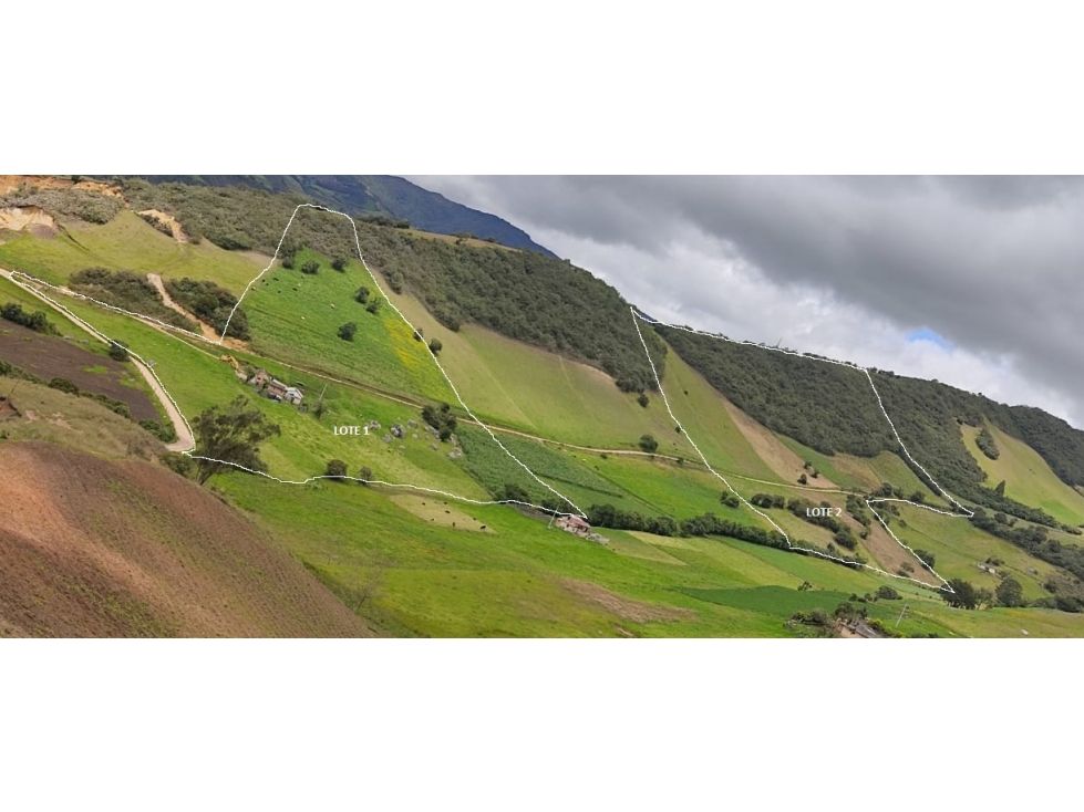 Finca en venta Cundinamarca Villapinzón Villapinzón 20 m2 Habitaciones 1 Baños 1 Garajes 1 Precio $340000000