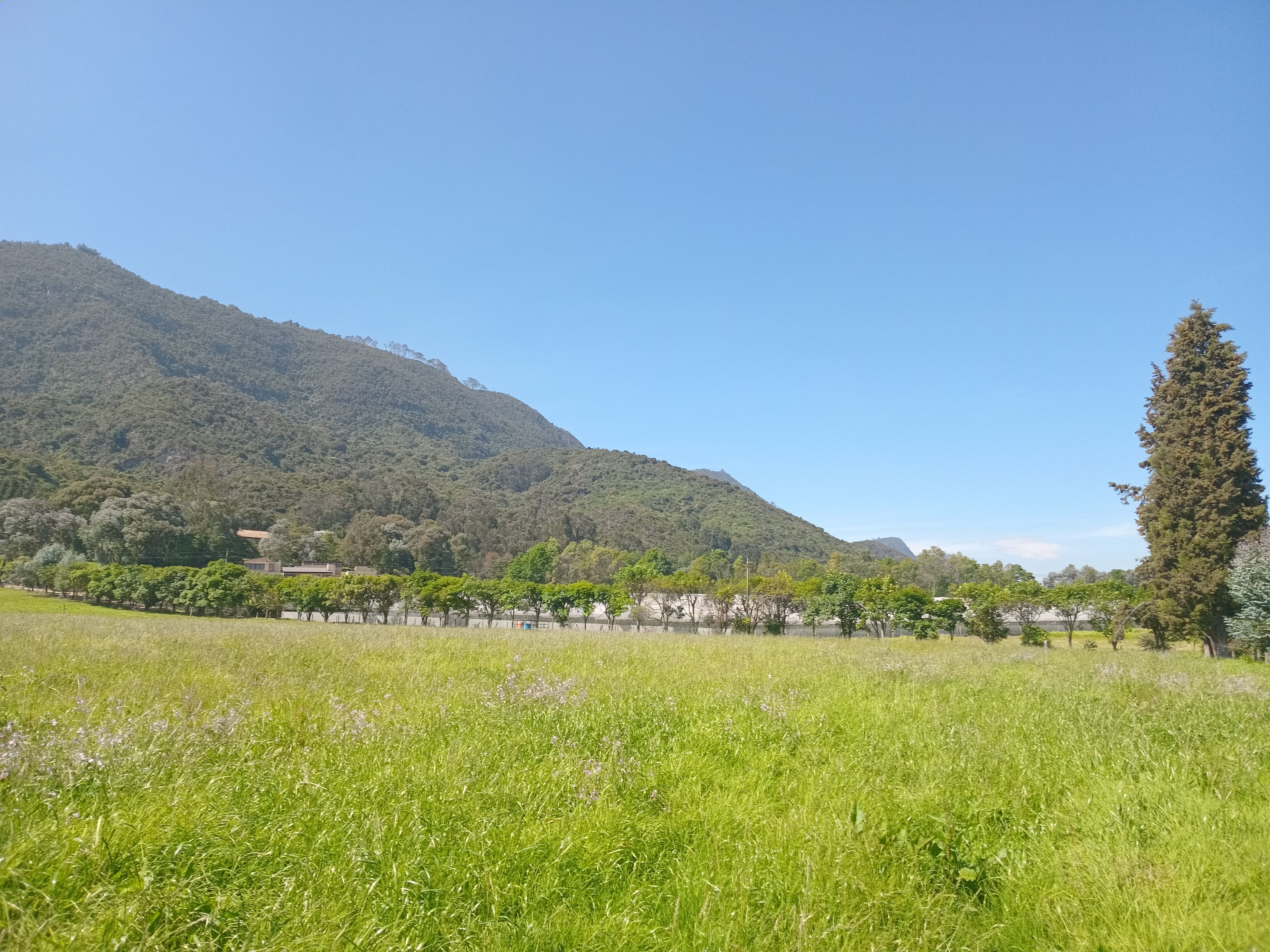 Lote en venta Cundinamarca Tenjo Conjunto Residencial Miraflores I Y Ii 20000 m2 Habitaciones 0 Baños 0 Garajes 0 Precio $1600000000