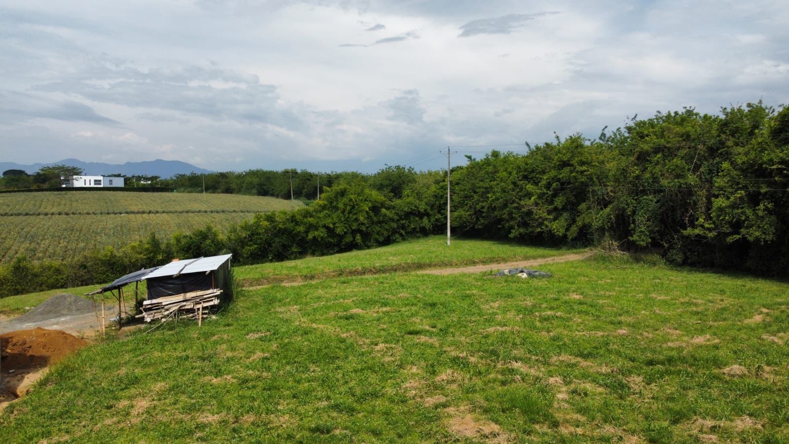 Lote en venta Risaralda Pereira Jardin De Velez Y Velez 10000 m2 Habitaciones 0 Baños 0 Garajes 0 Precio $300000000