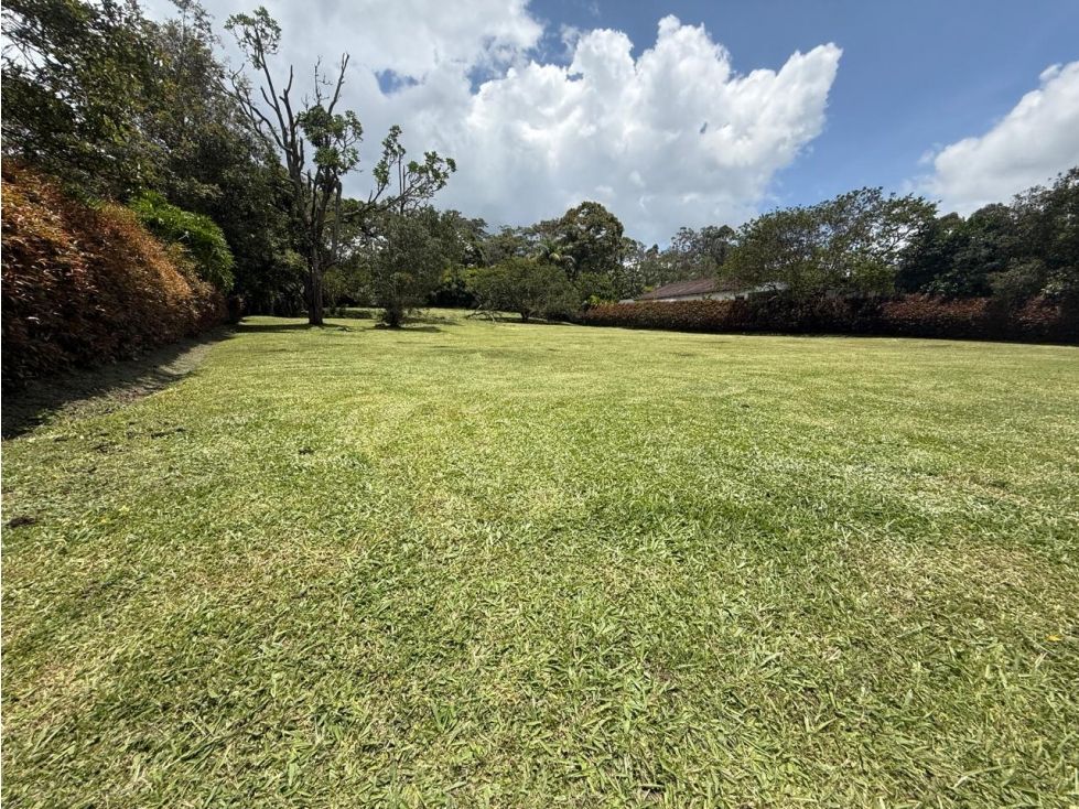 Lote en venta Antioquia Rionegro Rionegro 2456 m2 Habitaciones 0 Baños 0 Garajes 0 Precio $1230000000