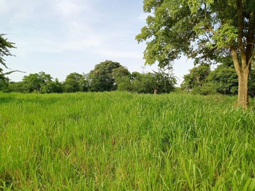 Finca en venta Tolima Honda El Reposo 300625 m2 Habitaciones 0 Baños 0 Garajes 0 Precio $9800000000