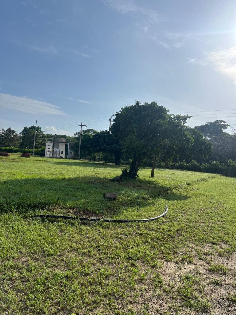 Lote en venta Atlántico Juan De Acosta Juan De Acosta 0 m2 Habitaciones 0 Baños 0 Garajes 0 Precio $120000000