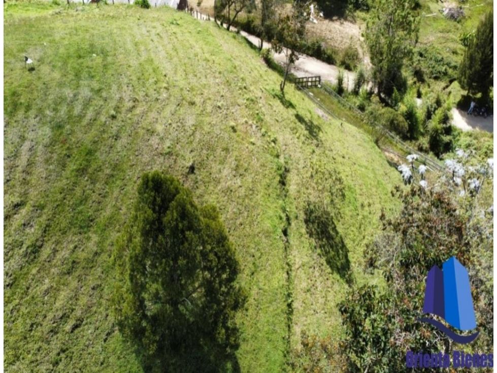 Lote en venta Antioquia El Retiro El Retiro 5000 m2 Habitaciones 0 Baños 0 Garajes 0 Precio $460000000