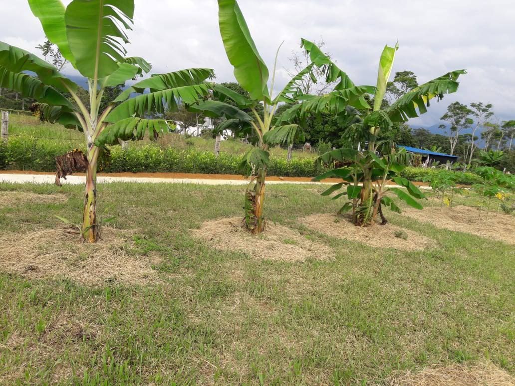 Lote Rural en venta Meta Acacías Acacias 20 m2 Habitaciones 0 Baños 0 Garajes 0 Precio $340000000