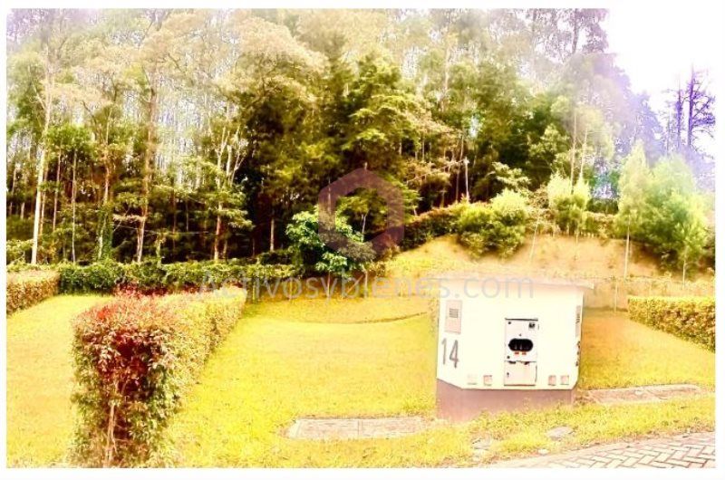 Lote en venta Antioquia Rionegro Rionegro 180 m2 Habitaciones 0 Baños 0 Garajes 0 Precio $299000000