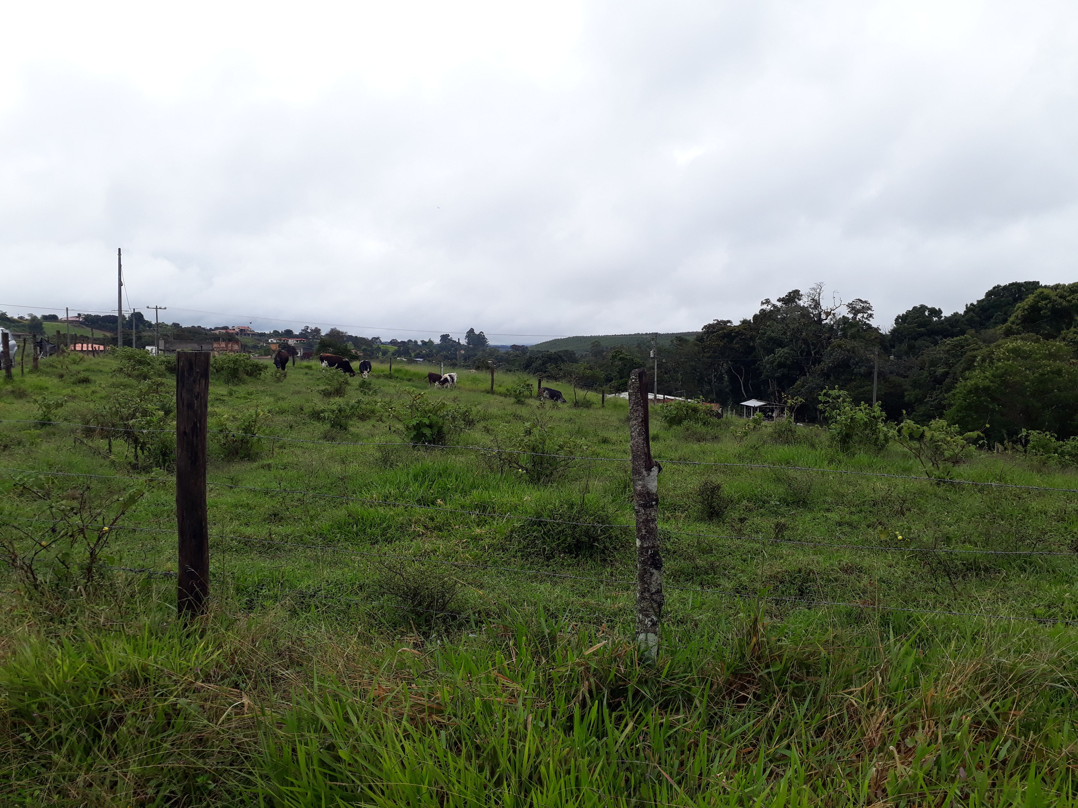 Finca en venta Cauca Popayán Popayán 1000 m2 Habitaciones 0 Baños 0 Garajes 0 Precio $125000000