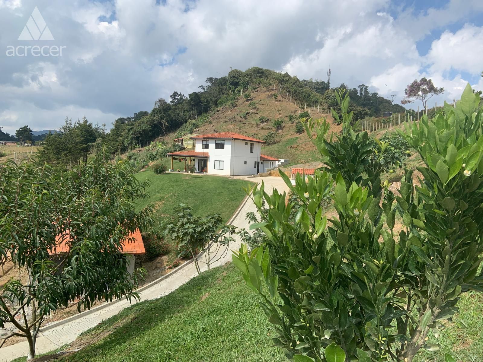 Finca en venta Antioquia El Santuario El Santuario 200 m2 Habitaciones 4 Baños 4 Garajes 1 Precio $1250000000