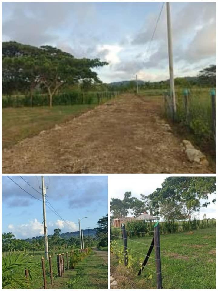 Lote en venta Antioquia Arboletes Arboletes 402 m2 Habitaciones 0 Baños 0 Garajes 0 Precio $47000000