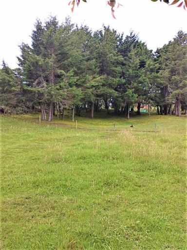 Lote en venta Antioquia Medellín Medellín 3202 m2 Habitaciones 0 Baños 0 Garajes 0 Precio $1024640000
