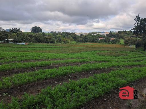 Lote en venta Antioquia La Unión La Unión 12000 m2 Habitaciones 0 Baños 0 Garajes 0 Precio $3000000000