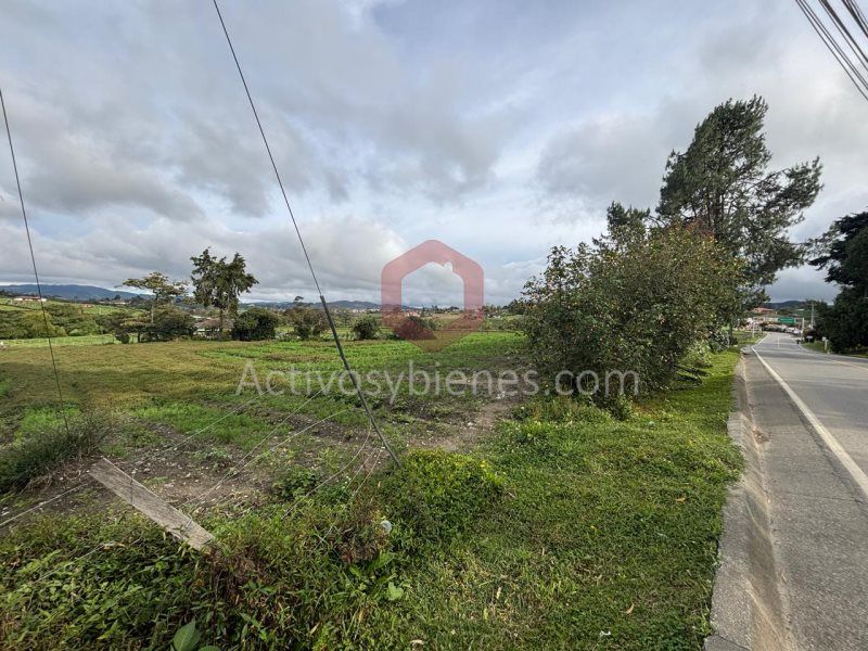 Lote en venta Antioquia La Unión La Unión 12000 m2 Habitaciones 0 Baños 0 Garajes 0 Precio $3000000000