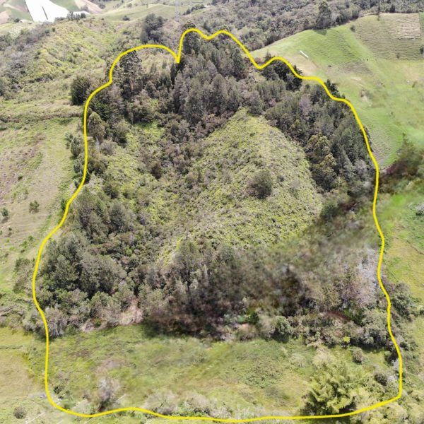 Lote en venta Antioquia Marinilla Vereda Santa Cruz 34000 m2 Habitaciones 0 Baños 0 Garajes 0 Precio $900000000