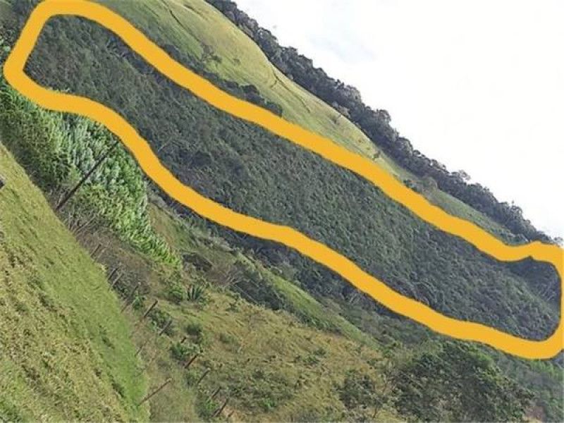 Inmuebles en Remate Lote en venta Meta Restrepo Restrepo 22 m2 Habitaciones 0 Baños 0 Garajes 0 Precio $868369350