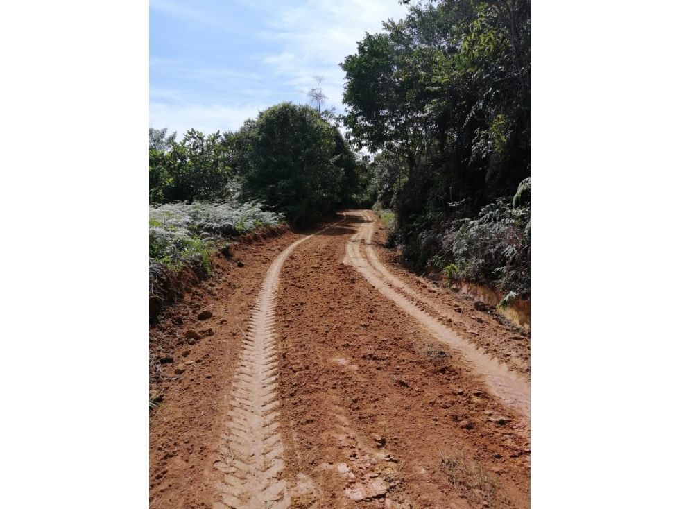 Finca en venta Santander Rionegro Rionegro 150 m2 Habitaciones 3 Baños 2 Garajes 2 Precio $1365000000