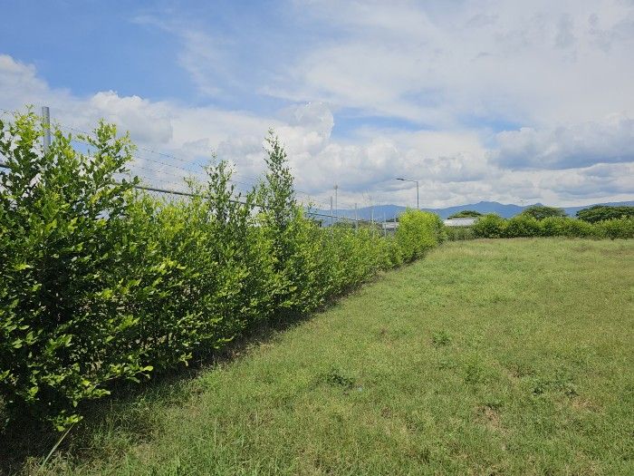 Lote en venta Valle Del Cauca Palmira Palmira 6400 m2 Habitaciones 0 Baños 0 Garajes 0 Precio $1152000000