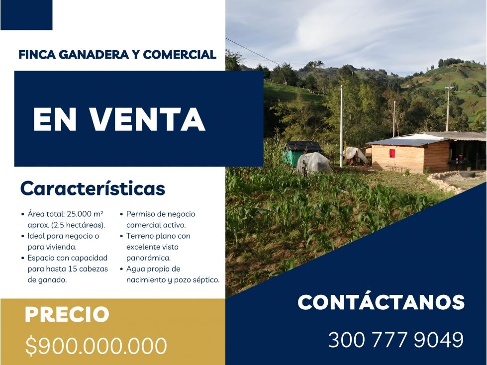Finca en venta Antioquia Belmira Belmira 12800 m2 Habitaciones 1 Baños 2 Garajes 0 Precio $900000000