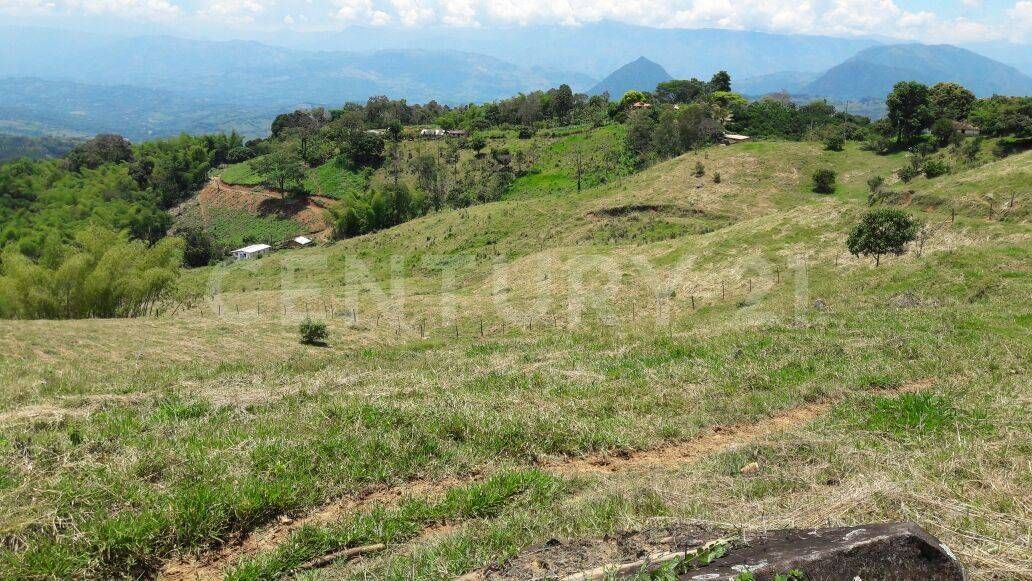 Lote en venta Antioquia Támesis Támesis 83200 m2 Habitaciones 0 Baños 1 Garajes 0 Precio $1430000000