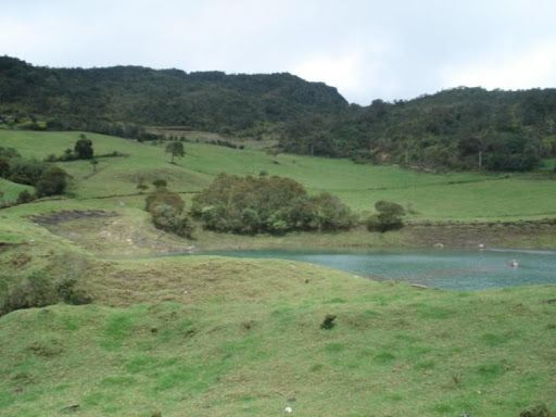 Lote en venta Cundinamarca La Calera La Calera 10000 m2 Habitaciones 0 Baños 0 Garajes 0 Precio $300000000