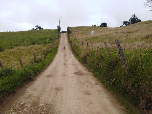 Lote en venta Cundinamarca La Calera La Calera 10968 m2 Habitaciones 0 Baños 0 Garajes 0 Precio $720000000