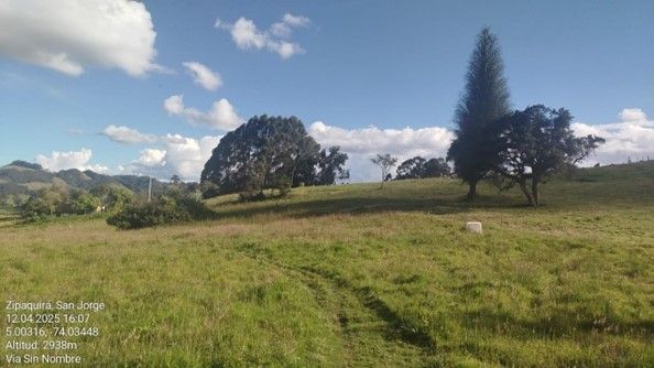 Lote en venta Cundinamarca Zipaquirá Br San Rafael 20 m2 Habitaciones 0 Baños 0 Garajes 0 Precio $3610000000