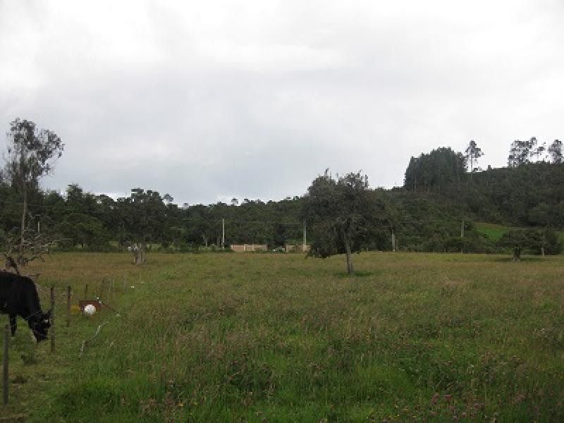 Lote en venta Cundinamarca Chía Chia 0 m2 Habitaciones 0 Baños 0 Garajes 0 Precio $2300000000